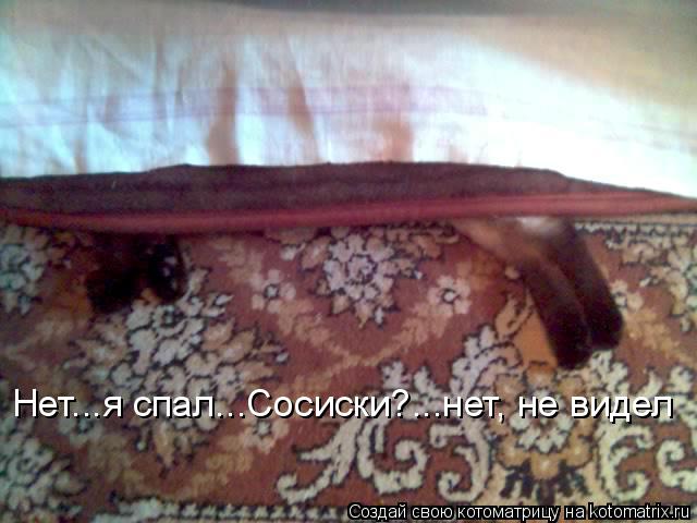 Котоматрица: Нет...я спал...Сосиски?...нет, не видел