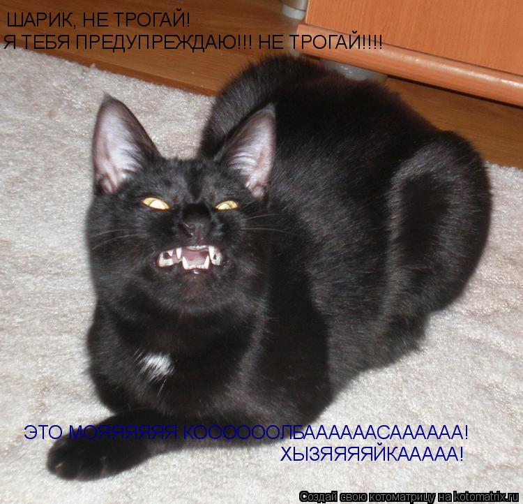 ШАРИК, НЕ ТРОГАЙ! Я ТЕБЯ ПРЕДУПРЕЖДАЮ!!! НЕ ТРОГАЙ!!!! ЭТО МОЯЯЯЯЯЯ КООООООЛБААААААСАААААА! ХЫЗЯЯЯЯЙК... Котоматрица: ШАРИК, НЕ ТРОГАЙ! Я ТЕБЯ ПРЕДУПРЕЖДАЮ!!! НЕ ТРОГАЙ!!!! ЭТО МОЯЯЯЯЯЯ КООООООЛБААААААСАААААА! ХЫЗЯЯЯЯЙКААААА!