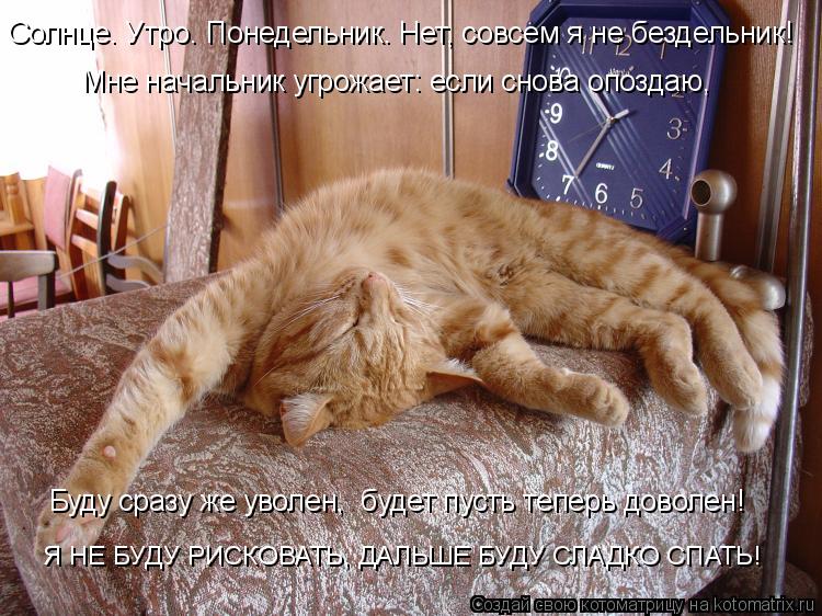 Солнце. Утро. Понедельник. Нет, совсем я не бездельник! Мне начальник угрожает: если снова опоздаю, ... Котоматрица: Солнце. Утро. Понедельник. Нет, совсем я не бездельник! Мне начальник угрожает: если снова опоздаю, Буду сразу же уволен, будет пусть теперь