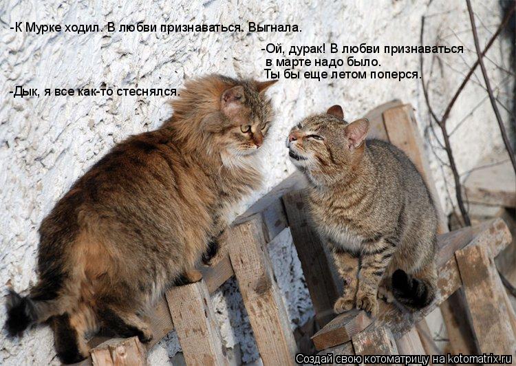 -К Мурке ходил. В любви признаваться. Выгнала. -Ой, дурак! В любви признаваться в марте надо было. Т... Котоматрица: -К Мурке ходил. В любви признаваться. Выгнала. -Ой, дурак! В любви признаваться в марте надо было. Ты бы еще летом поперся. -Дык, я все как-то ст