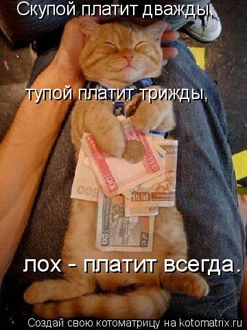 Котоматрица: Скупой платит дважды, тупой платит трижды, лох - платит всегда.
