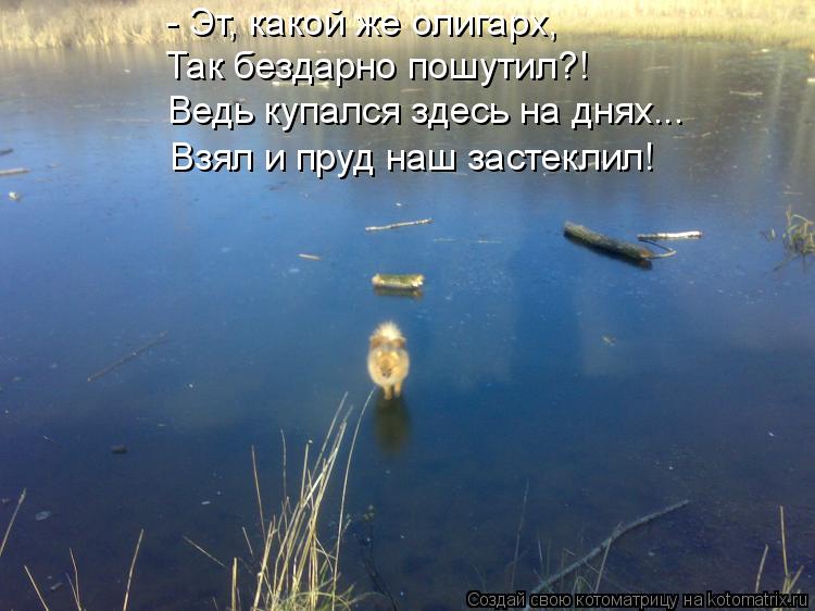 - Эт, какой же олигарх, Так бездарно пошутил?! Ведь купался здесь на днях... Взял и пруд наш застекли... Котоматрица: - Эт, какой же олигарх, Так бездарно пошутил?! Ведь купался здесь на днях... Взял и пруд наш застеклил!