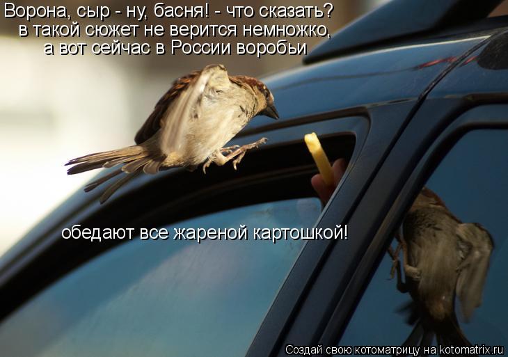 Ворона, сыр - ну, басня! - что сказать? а вот сейчас в России воробьи в такой сюжет не верится немнож... Котоматрица: Ворона, сыр - ну, басня! - что сказать? а вот сейчас в России воробьи в такой сюжет не верится немножко, обедают все жареной картошкой!