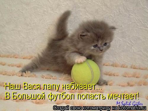 В Большой футбол попасть мечтает! Наш Вася лапу набивает...... Котоматрица: В Большой футбол попасть мечтает! Наш Вася лапу набивает...