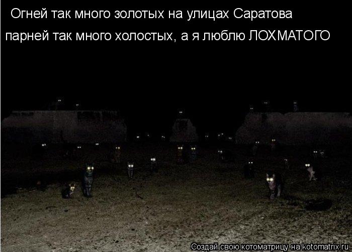 Огней так много золотых на улицах Саратова парней так много холостых, а я люблю ЛОХМАТОГО... Котоматрица: Огней так много золотых на улицах Саратова парней так много холостых, а я люблю ЛОХМАТОГО
