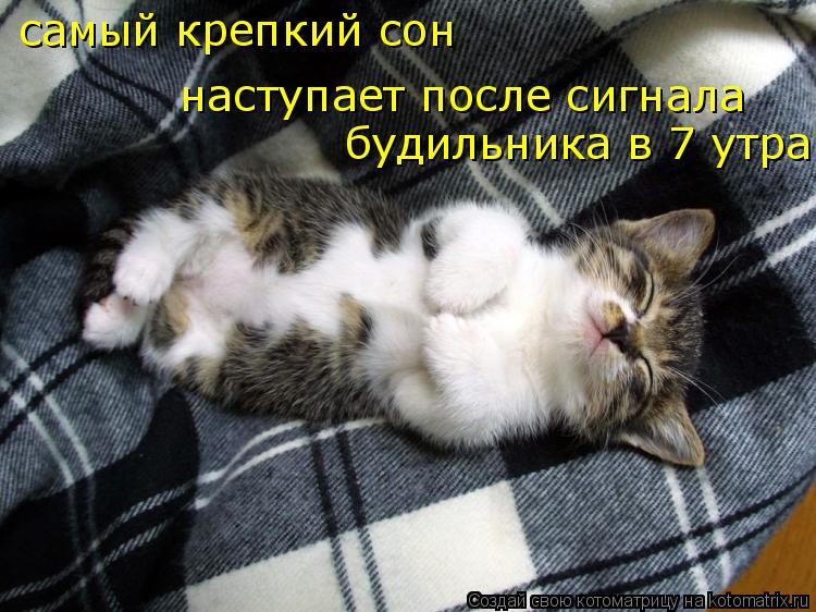 Котоматрица: самый крепкий сон   наступает после сигнала   будильника в 7 утра.