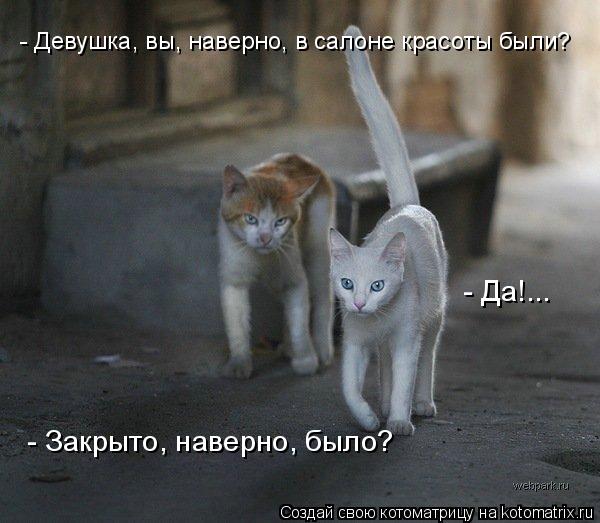 - Девушка, вы, наверно, в салоне красоты были? - Да!... - Закрыто, наверно, было?... Котоматрица: - Девушка, вы, наверно, в салоне красоты были? - Да!... - Закрыто, наверно, было?
