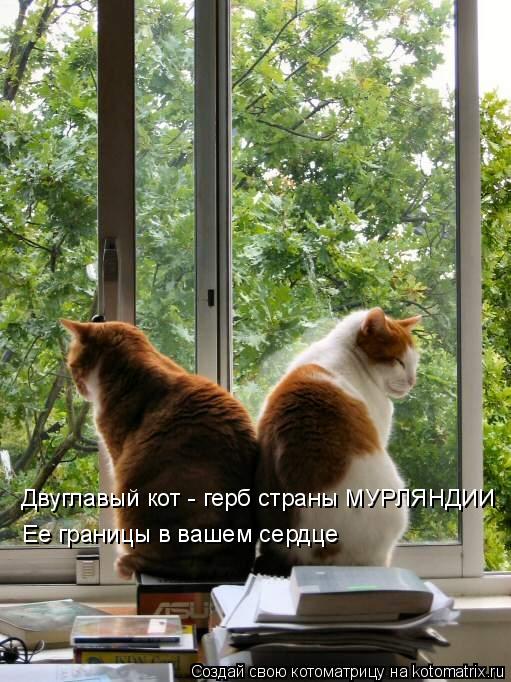 http://kotomatrix.ru/images/lolz/2009/04/16/_R.jpg