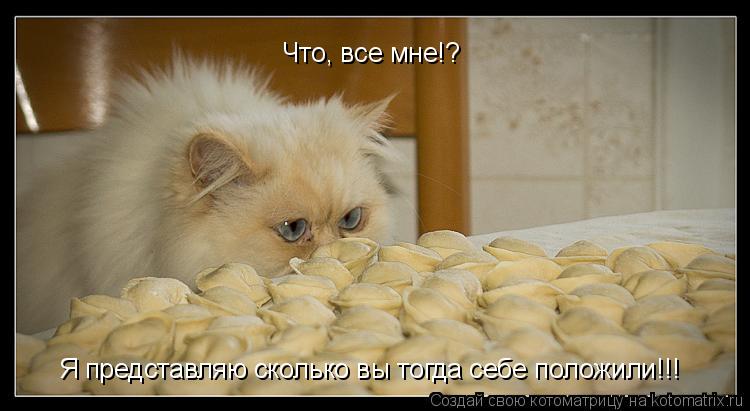 Что, все мне!? Я представляю сколько вы тогда себе положили!!!... Котоматрица: Что, все мне!? Я представляю сколько вы тогда себе положили!!!