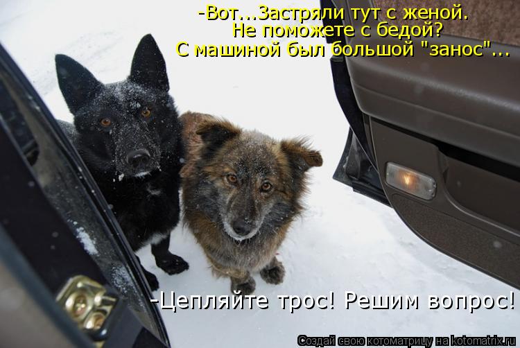 -Вот...Застряли тут с женой. Не поможете с бедой? С машиной был большой "занос"... -Цепляйте трос! Ре... Котоматрица: -Вот...Застряли тут с женой. Не поможете с бедой? С машиной был большой "занос"... -Цепляйте трос! Решим вопрос!