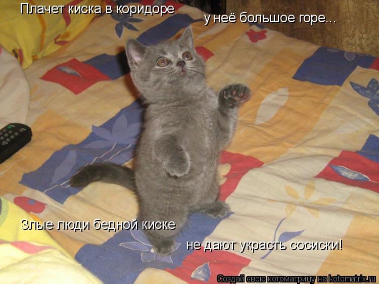 Плачет киска в коридоре у неё большое горе... Злые люди бедной киске не дают украсть сосиски!... Котоматрица: Плачет киска в коридоре у неё большое горе... Злые люди бедной киске не дают украсть сосиски!