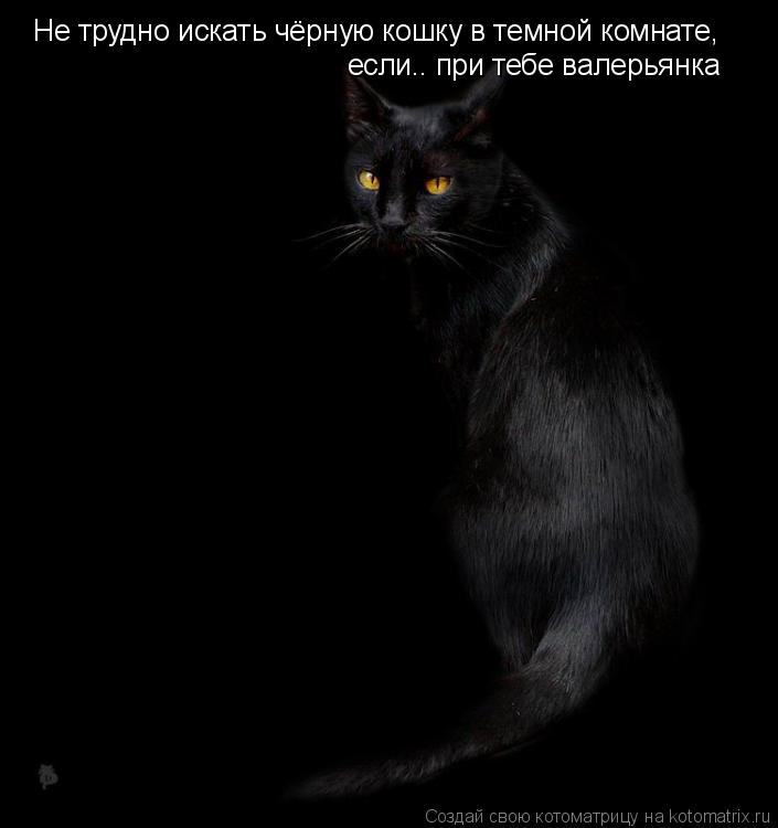 Котоматрица: Не трудно искать чёрную кошку в темной комнате,  если.. при тебе валерьянка