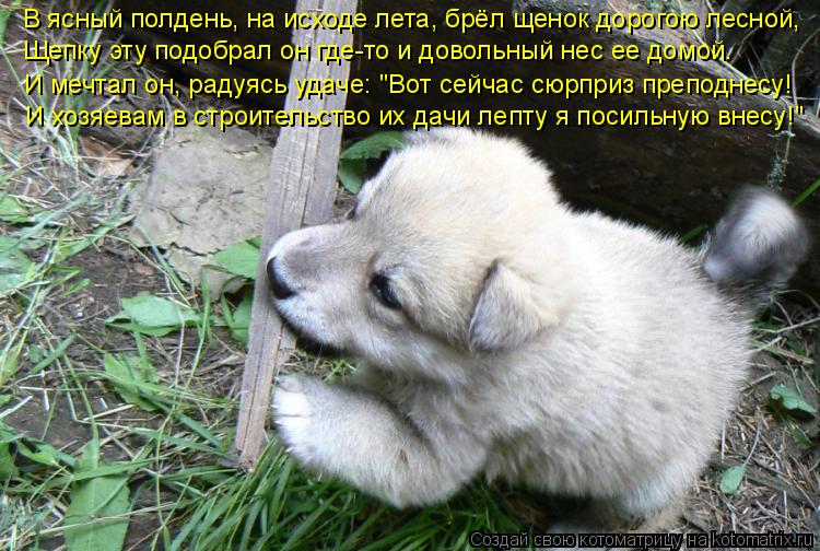 В ясный полдень, на исходе лета, брёл щенок дорогою лесной, Щепку эту подобрал он где-то и довольный ... Котоматрица: В ясный полдень, на исходе лета, брёл щенок дорогою лесной, Щепку эту подобрал он где-то и довольный нес ее домой. И мечтал он, радуясь удаче: "