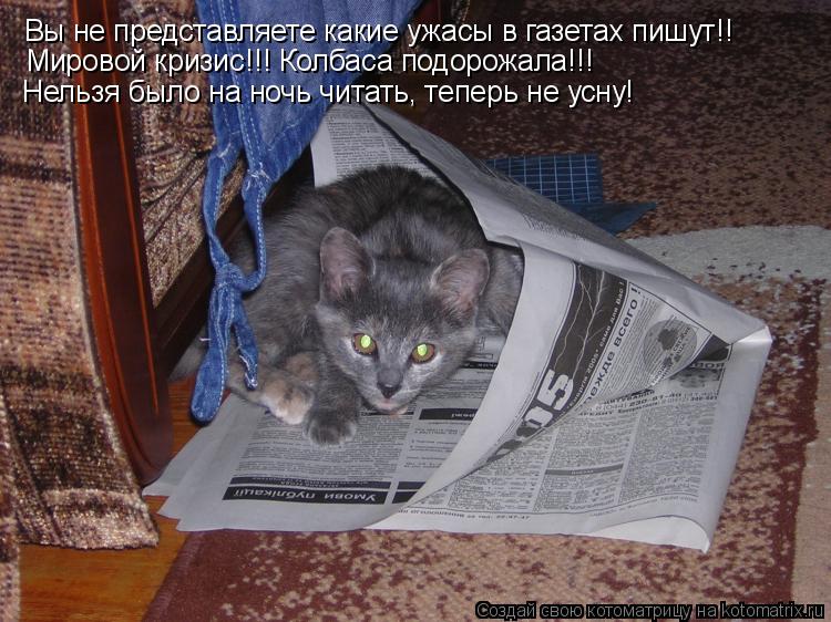 Вы не представляете какие ужасы в газетах пишут!! Мировой кризис!!! Колбаса подорожала!!! Нельзя было... Котоматрица: Вы не представляете какие ужасы в газетах пишут!! Мировой кризис!!! Колбаса подорожала!!! Нельзя было на ночь читать, теперь не усну!
