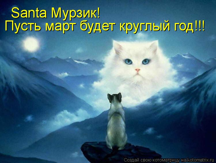 Котоматрица: Santa Мурзик! Пусть март будет круглый год!!!