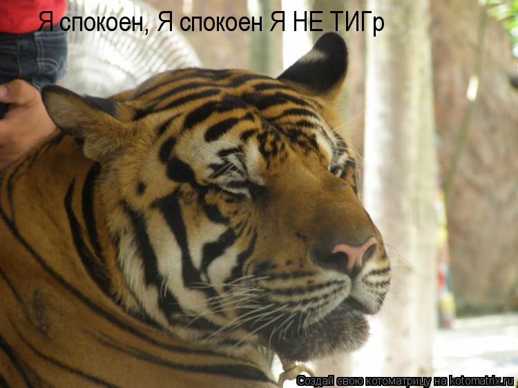 Будь за меня спокоен