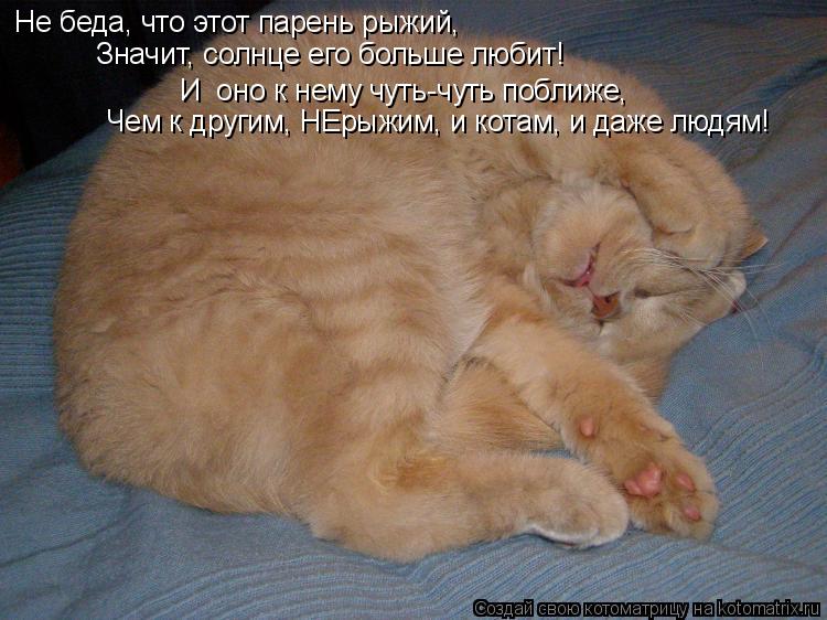 Не беда, что этот парень рыжий, Значит, солнце его больше любит! И оно к нему чуть-чуть поближе, Чем... Котоматрица: Не беда, что этот парень рыжий, Значит, солнце его больше любит! И оно к нему чуть-чуть поближе, Чем к другим, НЕрыжим, и котам, и даже людям!