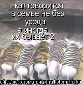 В семье не без урода это поговорка В семье не без урода это поговорка