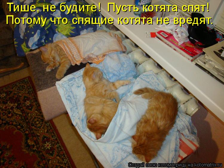 Котоматрица: Тише, не будите!  Пусть котята спят! Потому что спящие котята не вредят.