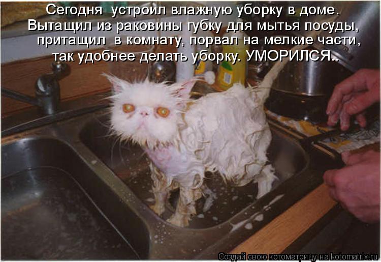 Котоматрица: Сегодня  устроил влажную уборку в доме.  Вытащил из раковины губку для мытья посуды,  притащил  в комнату, порвал на мелкие части,            так у