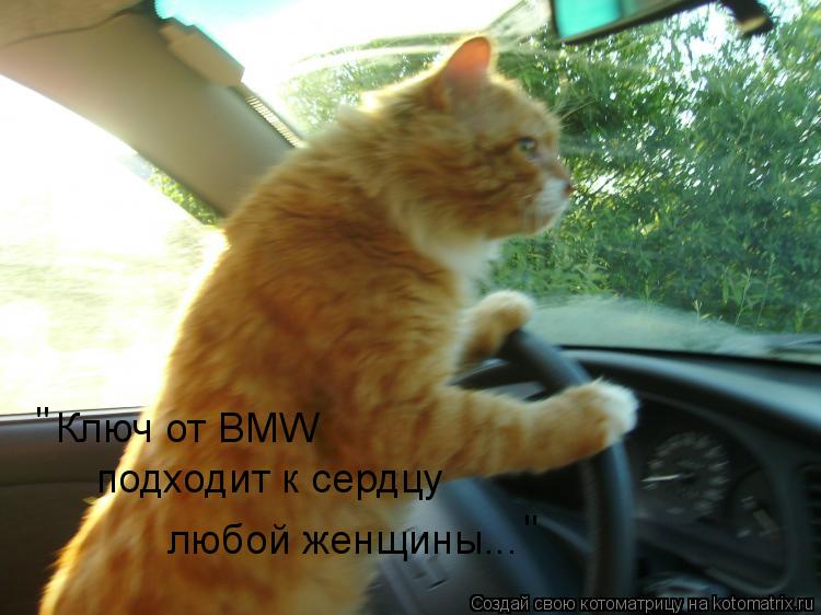 Ключ от BMW подходит к сердцу любой женщины... " "... Котоматрица: Ключ от BMW подходит к сердцу любой женщины... " "