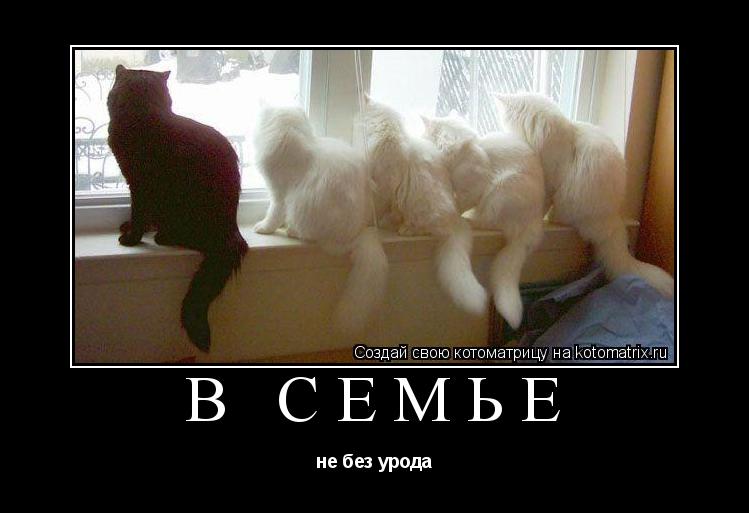 В семье не без урода это поговорка В семье не без урода это поговорка