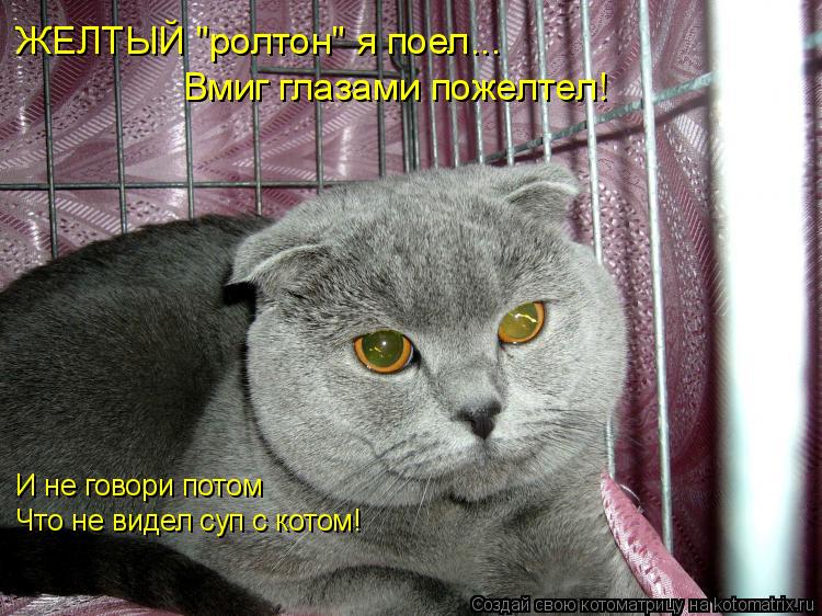 Котоматрица: ЖЕЛТЫЙ "ролтон" я поел... Вмиг глазами пожелтел! И не говори потом Что не видел суп с котом!