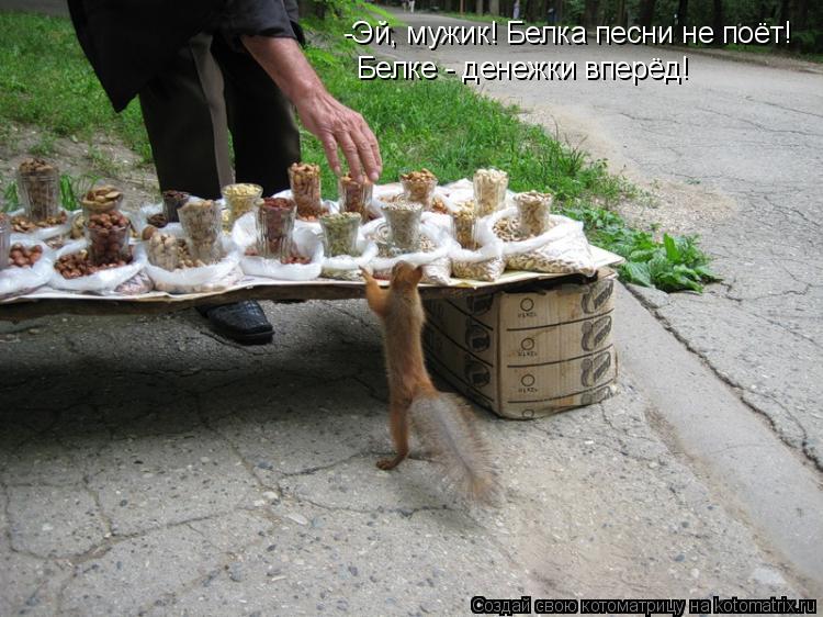 -Эй, мужик! Белка песни не поёт! Белке - денежки вперёд!... Котоматрица: -Эй, мужик! Белка песни не поёт! Белке - денежки вперёд!