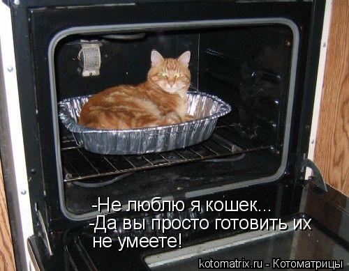 Котоматрица: -Не люблю я кошек... -Да вы просто готовить их  не умеете!