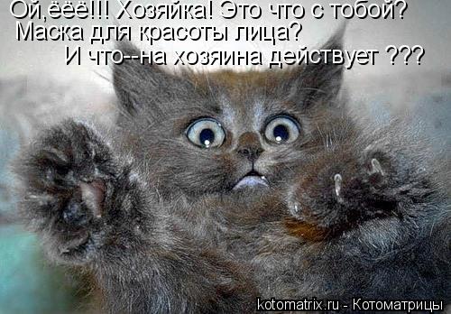 Котоматрица: Ой,ёёё!!! Хозяйка! Это что с тобой? Маска для красоты лица?  И что--на хозяина действует ???
