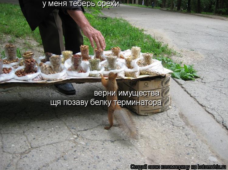 верни имущества у меня теберь орехи щя позаву белку терминатора... Котоматрица: верни имущества у меня теберь орехи щя позаву белку терминатора