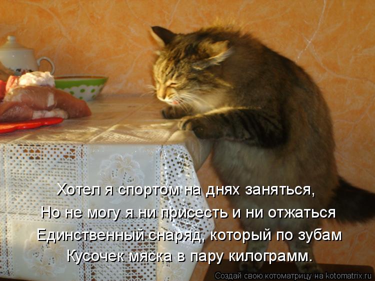 Хотел я спортом на днях заняться, Но не могу я ни присесть и ни отжаться Единственный снаряд, который... Котоматрица: Хотел я спортом на днях заняться, Но не могу я ни присесть и ни отжаться Единственный снаряд, который по зубам Кусочек мяска в пару килограм
