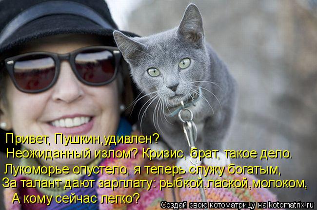 Лукоморье опустело, я теперь служу богатым, За талант дают зарплату: рыбкой,лаской,молоком, А кому ... Котоматрица: Лукоморье опустело, я теперь служу богатым, За талант дают зарплату: рыбкой,лаской,молоком, А кому сейчас легко? Неожиданный излом? Кризис,