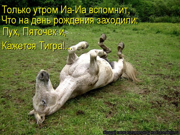 Только утром Иа-Иа вспомнит, Что на день рождения заходили: Пух, Пяточек и, Кажется Тигра!...... Котоматрица: Только утром Иа-Иа вспомнит, Что на день рождения заходили: Пух, Пяточек и, Кажется Тигра!...
