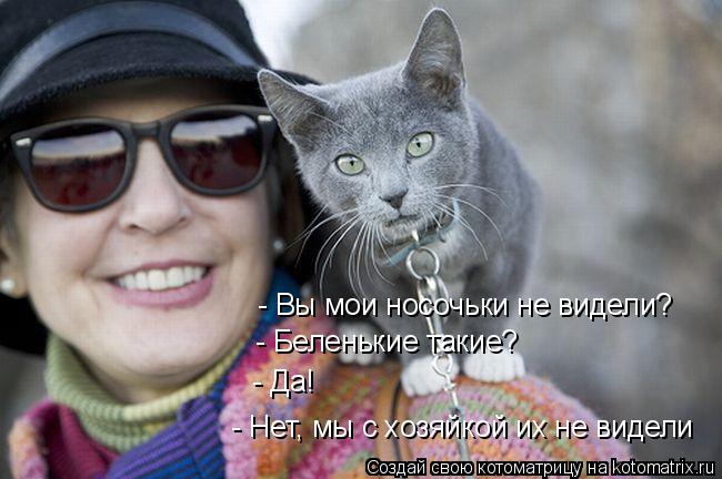 Котоматрица: - Вы мои носочьки не видели? - Беленькие такие? - Да! - Нет, мы с хозяйкой их не видели