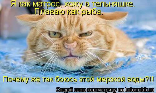 Котоматрица: Я как матрос, хожу в тельняшке.  Плаваю как рыба.  Почему же так боюсь этой мерзкой воды?!!
