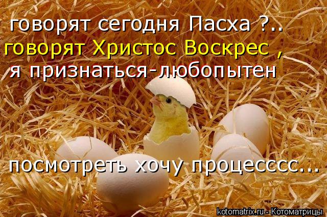 говорят сегодня Пасха ?.. говорят Христос Bоскрес , я признаться-любопытен я признаться-любопытен пос... Котоматрица: говорят сегодня Пасха ?.. говорят Христос Bоскрес , я признаться-любопытен я признаться-любопытен посмотреть хочу процесссс...