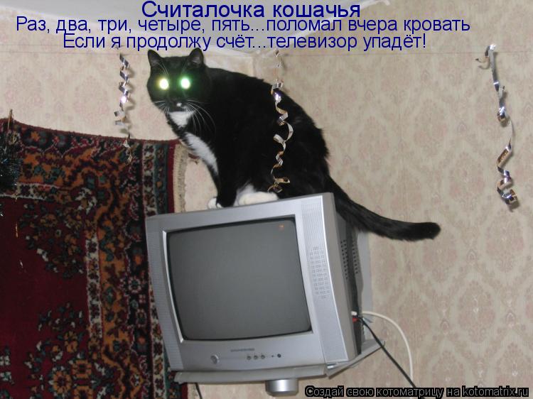 Считалочка кошачья Раз, два, три, четыре, пять...поломал вчера кровать Если я продолжу счёт...телевиз... Котоматрица: Считалочка кошачья Раз, два, три, четыре, пять...поломал вчера кровать Если я продолжу счёт...телевизор упадёт!