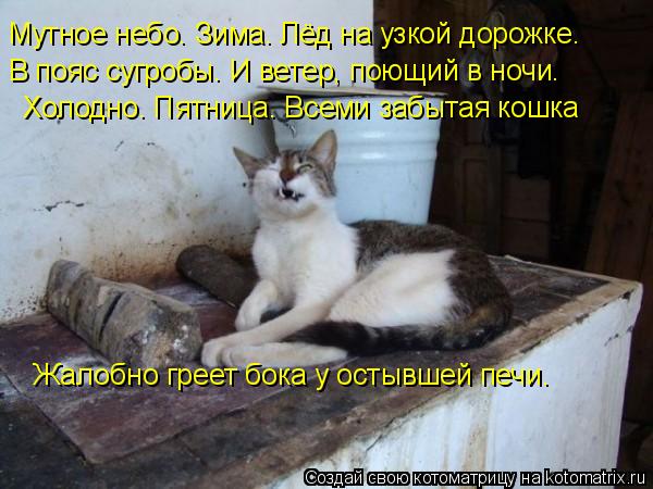 Мутное небо. Зима. Лёд на узкой дорожке. В пояс сугробы. И ветер, поющий в ночи. Холодно. Пятница. Вс... Котоматрица: Мутное небо. Зима. Лёд на узкой дорожке. В пояс сугробы. И ветер, поющий в ночи. Холодно. Пятница. Всеми забытая кошка Жалобно греет бока у ост