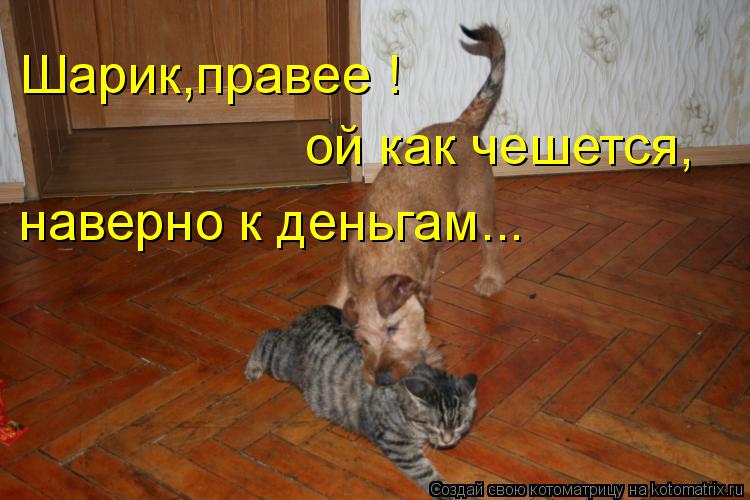 Шарик,правее ! ой как чешется, наверно к деньгам...... Котоматрица: Шарик,правее ! ой как чешется, наверно к деньгам...