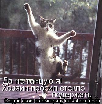 Котоматрица: Да не танцую я!  Хозяин просил стекло  подержать...