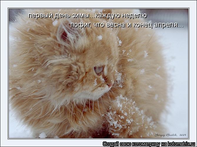 где можно купить недорогую одежду в