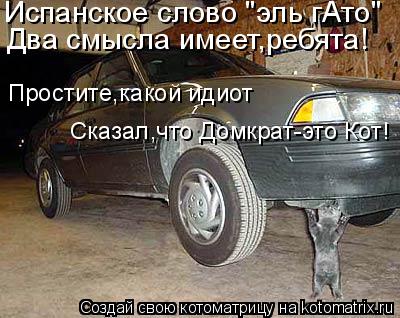 Испанское слово "эль гАто" Два смысла имеет,ребята! Простите,какой идиот Сказал,что Домкрат-это Кот!... Котоматрица: Испанское слово "эль гАто" Два смысла имеет,ребята! Простите,какой идиот Сказал,что Домкрат-это Кот!
