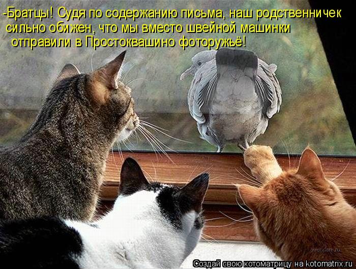 -Братцы! Судя по содержанию письма, наш родственничек сильно обижен, что мы вместо швейной машинки от... Котоматрица: -Братцы! Судя по содержанию письма, наш родственничек сильно обижен, что мы вместо швейной машинки отправили в Простоквашино фоторужьё!