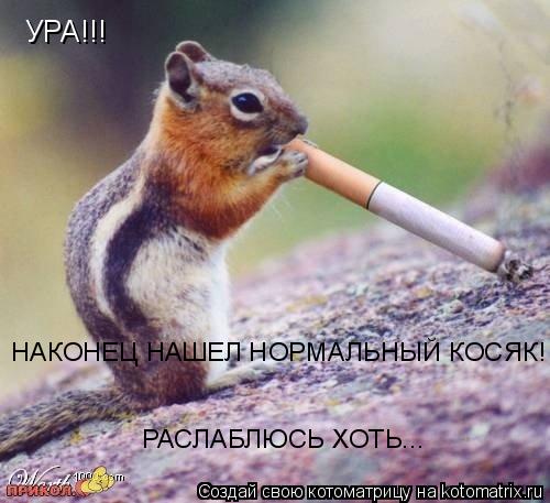 Котоматрица: УРА!!! НАКОНЕЦ НАШЕЛ НОРМАЛЬНЫЙ КОСЯК! РАСЛАБЛЮСЬ ХОТЬ...