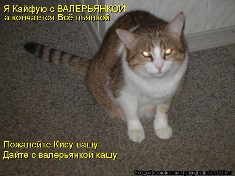 ДАЙ ПОХМЕЛИТЬСЯ ДАЙ MP3 СКАЧАТЬ БЕСПЛАТНО ДАЙ ПОХМЕЛИТЬСЯ ДАЙ MP3 СКАЧАТЬ БЕСПЛАТНО