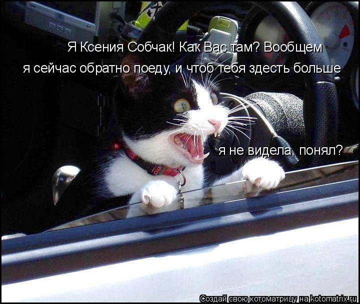 Я Ксения Собчак! Как Вас там? Вообщем я сейчас обратно поеду, и чтоб тебя здесть больше я не видела,... Котоматрица: Я Ксения Собчак! Как Вас там? Вообщем я сейчас обратно поеду, и чтоб тебя здесть больше я не видела, понял?
