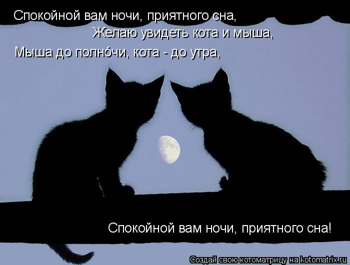 Котоматрица: Спокойной вам ночи, приятного сна, Желаю увидеть кота и мыша, Мыша до полн&#243;чи, кота - до утра, Спокойной вам ночи, приятного сна!