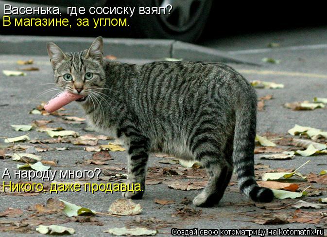 Васенька, где сосиску взял? В магазине, за углом. А народу много? Никого, даже продавца.... Котоматрица: Васенька, где сосиску взял? В магазине, за углом. А народу много? Никого, даже продавца.