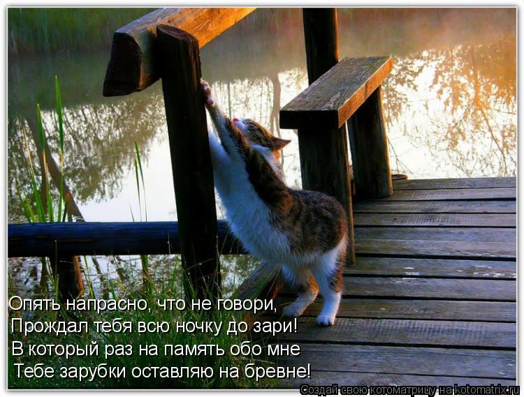 Тебе зарубки оставляю на бревне! В который раз на память обо мне Прождал тебя всю ночку до зари! Опят... Котоматрица: Тебе зарубки оставляю на бревне! В который раз на память обо мне Прождал тебя всю ночку до зари! Опять напрасно, что не говори,